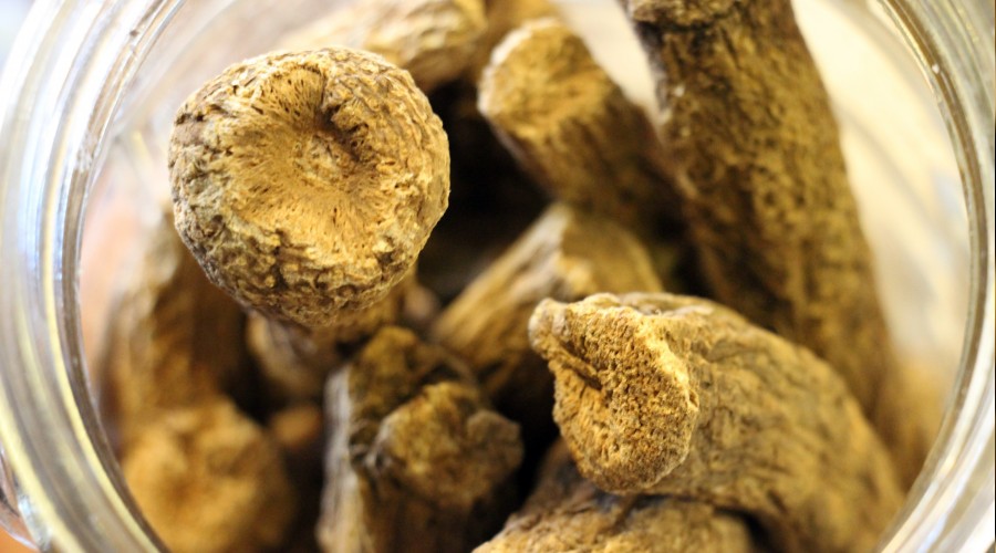 En doğal antibiyotik: Udi hindi