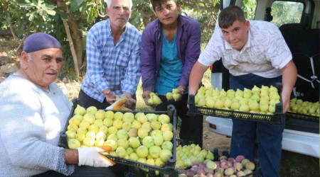 Enkaz kentte ağızları tatlandıran hasat yüz güldürdü