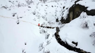 Erzurum'da 350 koyun uçurumdan düştü