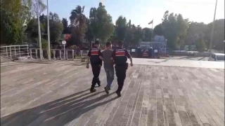 Foa'daki orman yangnyla ilgili 1 tutuklama