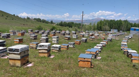 Göçer arıcıların mesaisi geç başladı