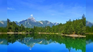 Gllerin evresel ve ekonomik katklar 