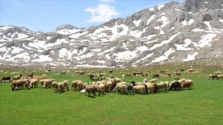 G�ndo�mu��un bereketli topraklar� ve tar�m