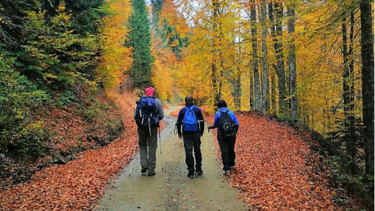 Hangi tür yürüyüşler insan sağlığına faydalıdır