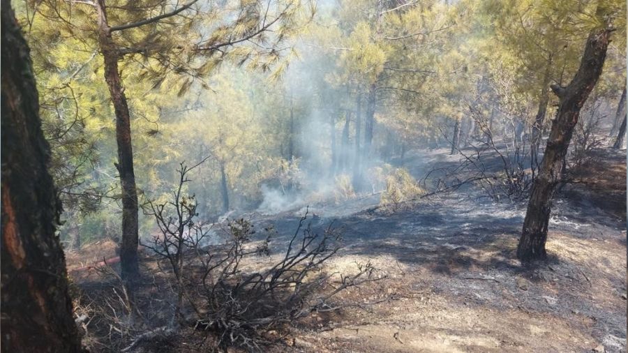 Hatay'da orman yang�n� kontrol alt�na al�nd�