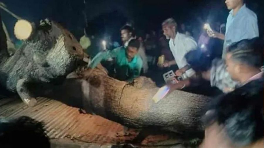 Hindistan'da tap�na��n �zerine a�a� devrildi: 7 �l�, 30 yaral�