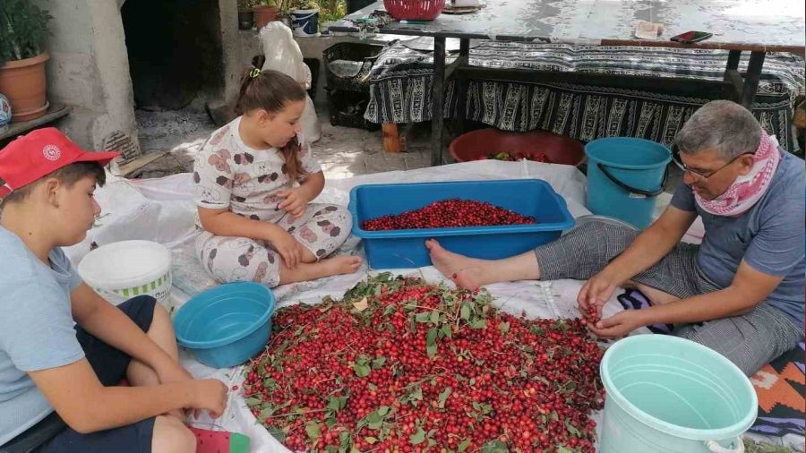 Hisarcık'ta kızılcık üretimi düştü, fiyatlar ikiye katlandı