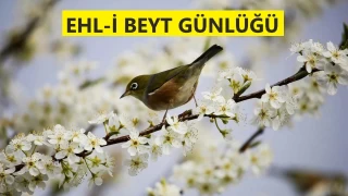 Hz. Ali: ‘Her iş namaza tâbidir’