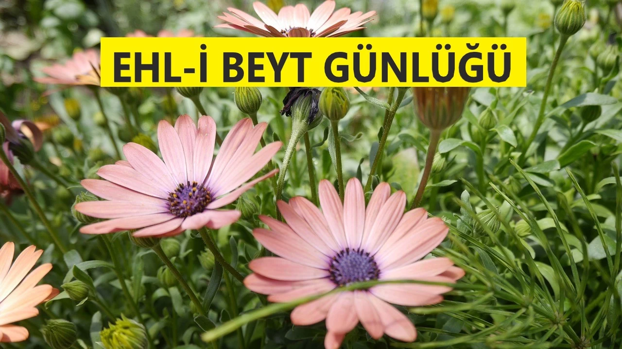 İmamdan imama intikal eden miras