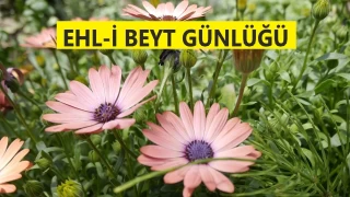 İmamdan imama intikal eden miras