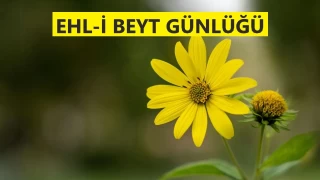 ‘İmam’ı insanlar tayin edemez’