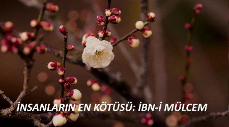İnsanların en kötüsü: İbn-i Mülcem