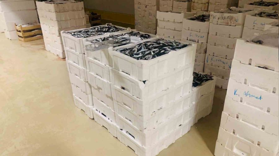 �stanbul'da 3 ton istavrit bal���na el konuldu