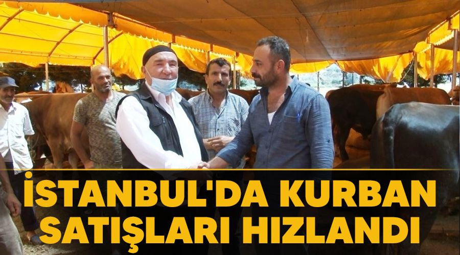 �stanbul'da kurban sat��lar� h�zland�