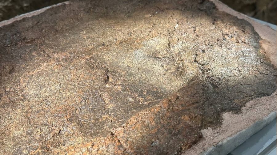 İznik Müzesi'nde 8 bin yıllık ayak izi ilk kez sergilendi