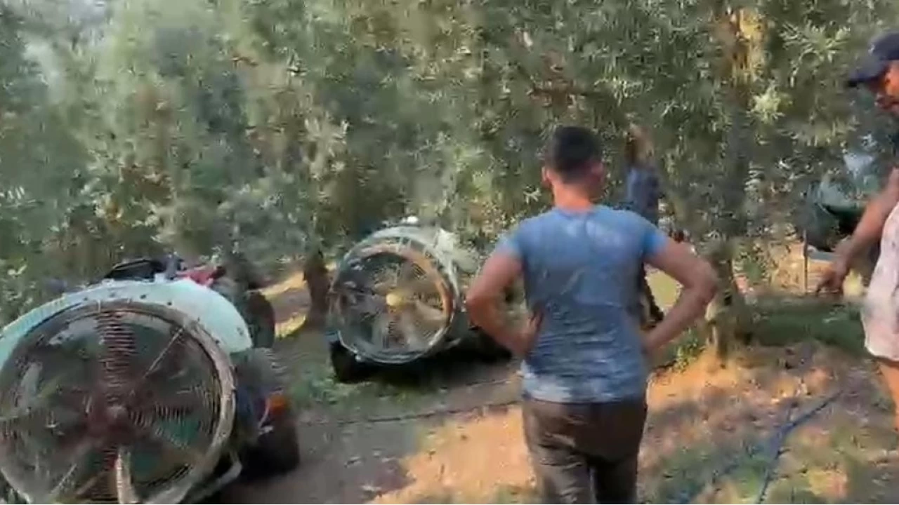 znik ve Sivas'ta kan yangn kontrol altna alnd