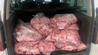 Jandarmanın durdurduğu araçtan 450 kilo bozulmuş et çıktı