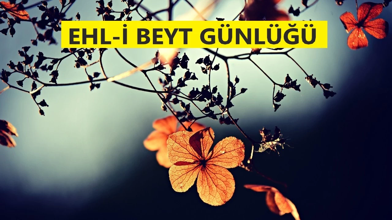 Kalplerin cilâsı hikmeti konuşmaktır