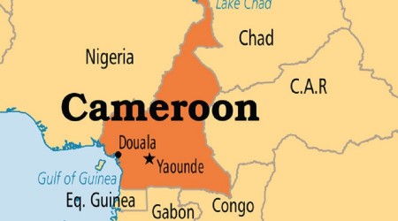 Kamerun'da okula silahl saldr