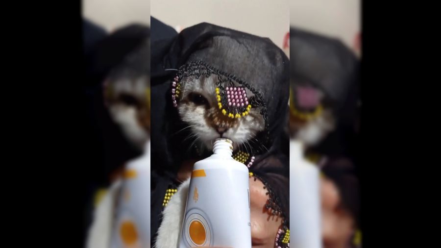 Kediyi türküler eşliğinde besledi