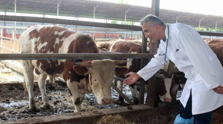 "Kesilen kurban etlerini üst üste koymayın"