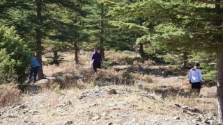 Kilosu etle yaryor, sabah ezanyla ormana gidiyorlar