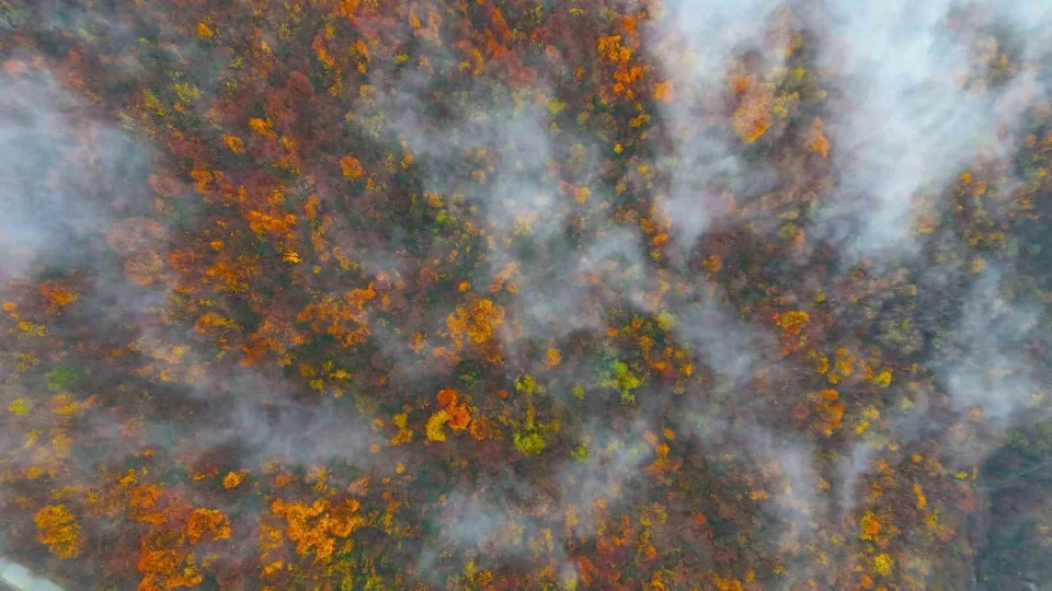 Kocaeli Başiskele'den kartpostallık görüntüler