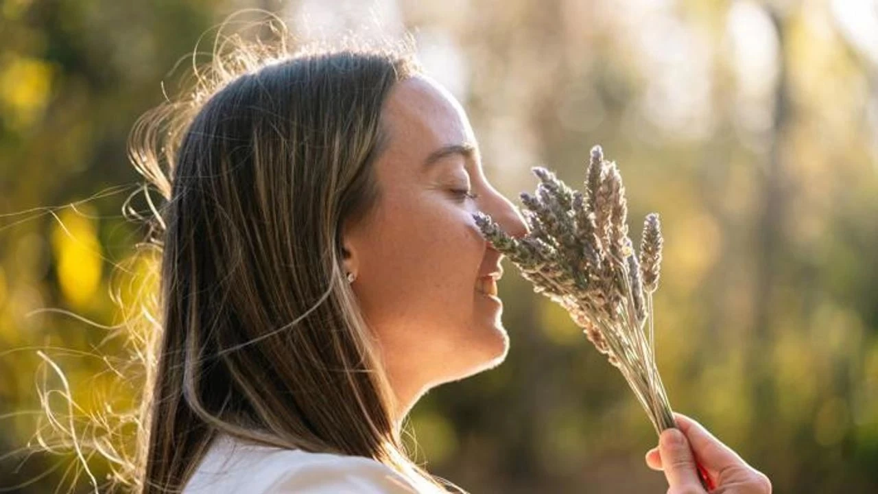 Kokunun haf�zas�: Do�al aromalar�n psikolojik etkileri