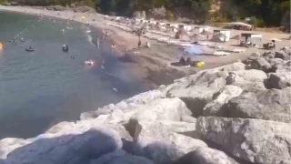 Kmr artklar plaja ulat