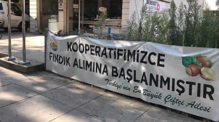 Kooperatif fndk almna balyor