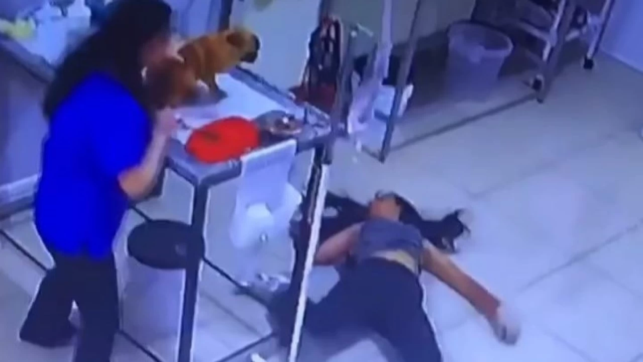 Köpeğini tedavi ettiren kadın bayıldı