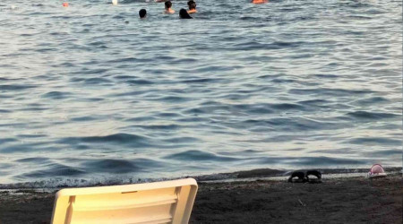Köyceğiz'de Kasım ortasında sıcaklık 29 dereceyi gösterdi