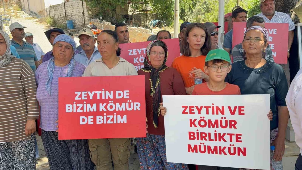 Köylüler Milas'tan zeytin için seslendi