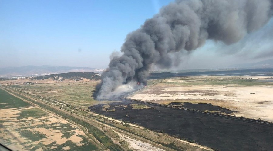 Ku� Cenneti yak�n�nda korkutan yang�n