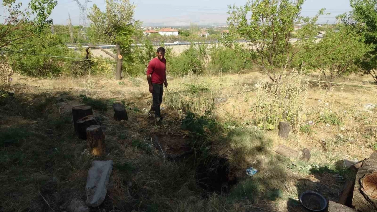Malatya'da kays bahesinde obruk olutu