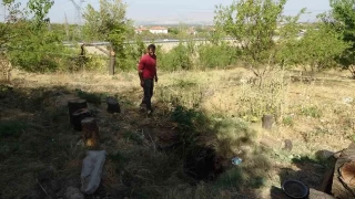 Malatya'da kays bahesinde obruk olutu
