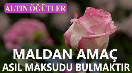 Maldan ama asl maksudu bulmaktr