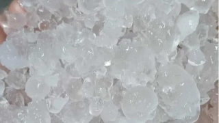 Manisa'da ceviz byklnde dolu yad