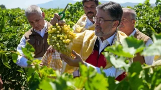 Manisada tarm: iftinin en byk derdi artan maliyetler