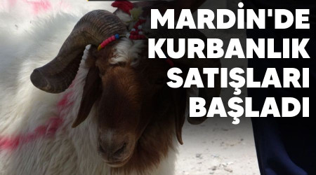 Mardin'de kurbanlk satlar balad