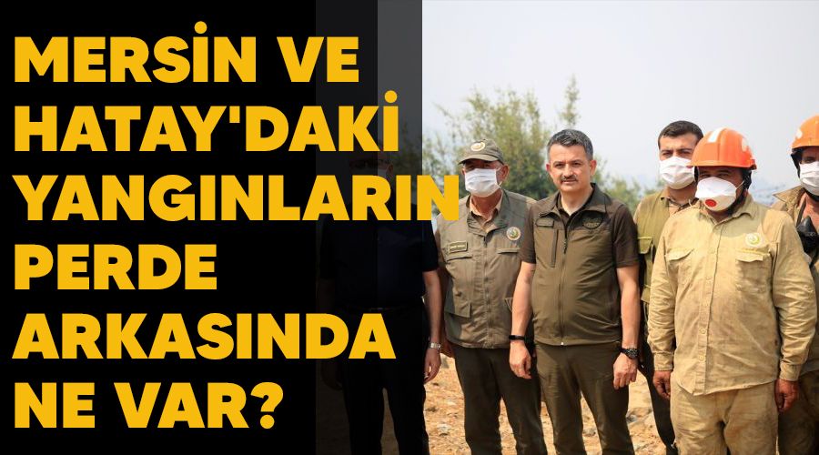 Mersin ve Hatay'daki yangınların perde arkasında ne var? 4 kişi gözaltında