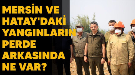 Mersin ve Hatay'daki yangınların perde arkasında ne var? 4 kişi gözaltında