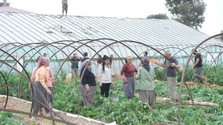 Mersin'de frtna ve hortum seralara zarar verdi