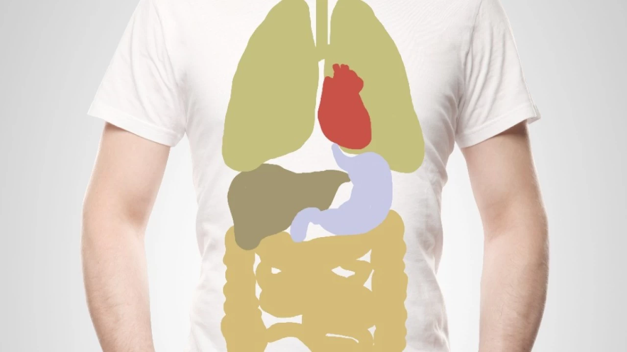 Metabolizma Tek Başına Suçlu Değil