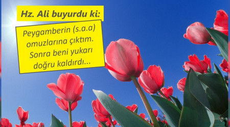 Mübarek omuzlarda göğe yükseldi