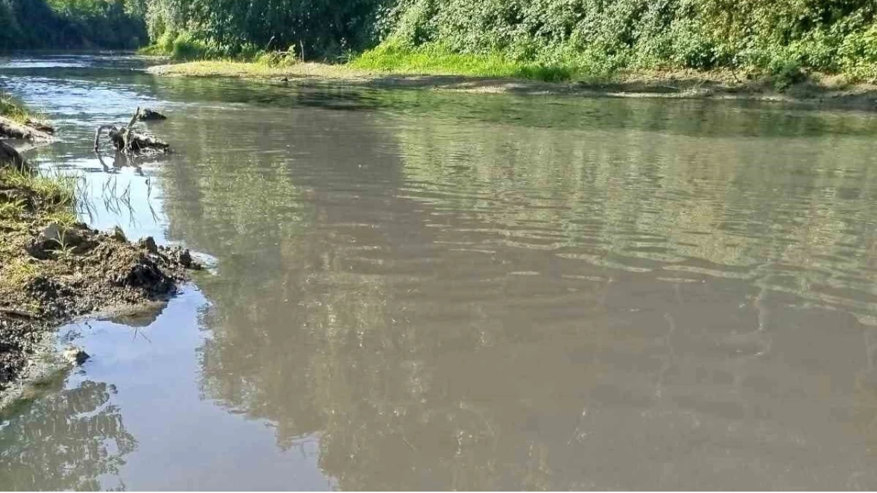 Mudurnu Deresi'nde endi�e veren kirlilik