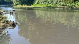 Mudurnu Deresi'nde endie veren kirlilik