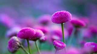 Müslüman hep hazırlık halindedir