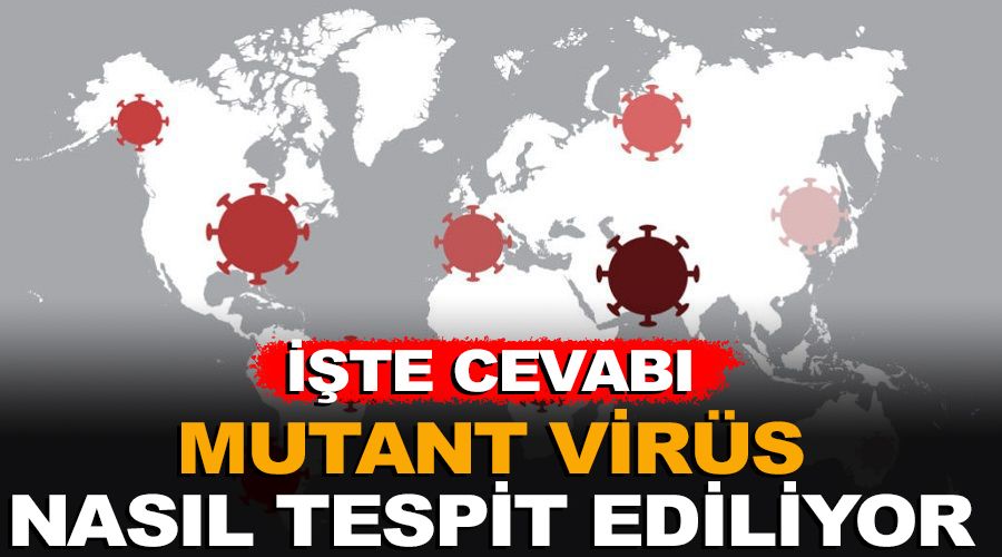 Mutant virüs nasıl tespit ediliyor?