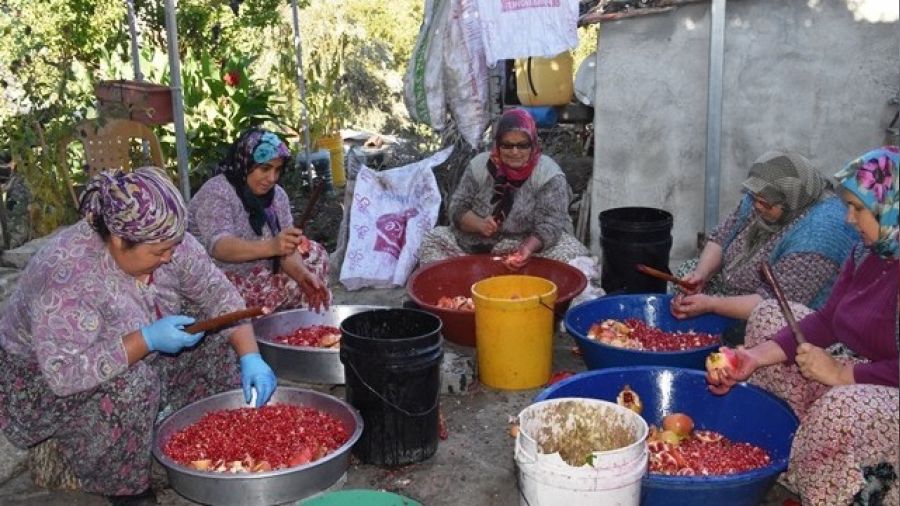 Nar ekşisinin zahmetli yolculuğu başladı